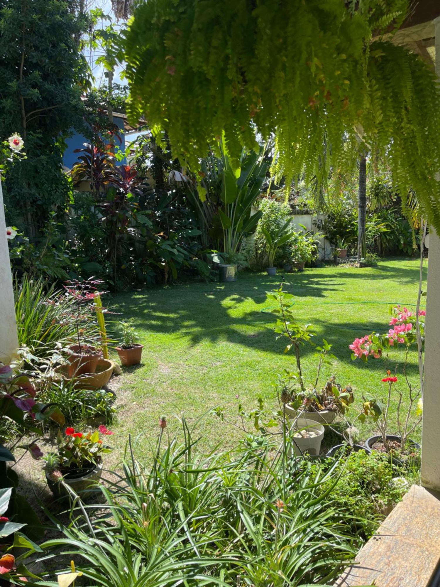 Yucca Pousada Bed and Breakfast Porto Seguro Eksteriør billede